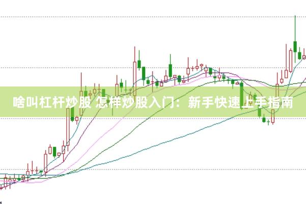 啥叫杠杆炒股 怎样炒股入门：新手快速上手指南