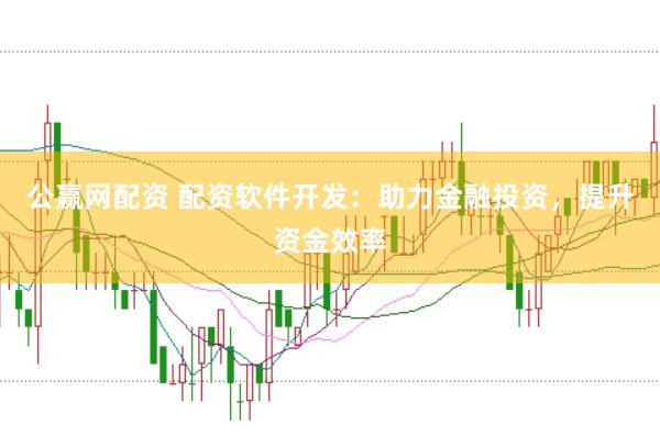 公赢网配资 配资软件开发：助力金融投资，提升资金效率