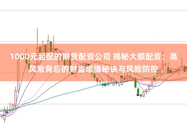 1000元起配的期货配资公司 揭秘大额配资:高风险背后的财富增值秘诀与风险防控