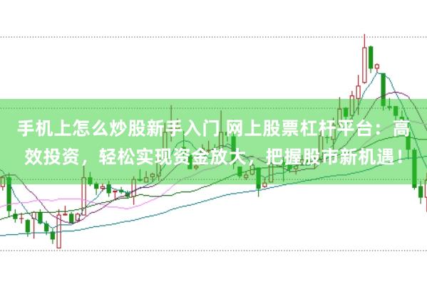 手机上怎么炒股新手入门 网上股票杠杆平台：高效投资，轻松实现资金放大，把握股市新机遇！
