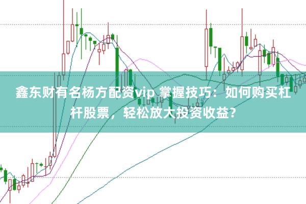 鑫东财有名杨方配资vip 掌握技巧：如何购买杠杆股票，轻松放大投资收益？