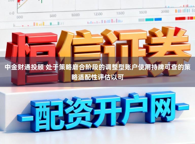 中金财通投顾 处于策略磨合阶段的调整型账户使用持牌可查的策略适配性评估以可
